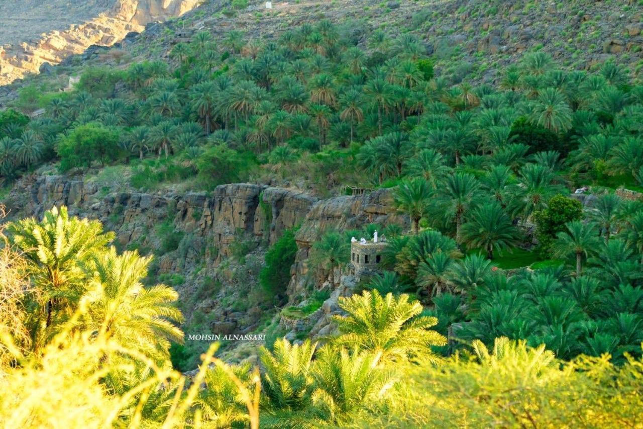 The Wadi Inn Al Ḩamrāʼ Exteriör bild