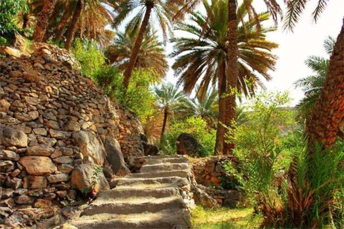 The Wadi Inn Al Ḩamrāʼ Exteriör bild